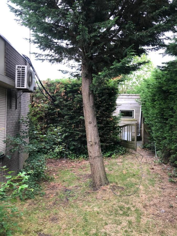 Knus Appartement Aan De Kust Strand Zee Havens Yerseke Luaran gambar